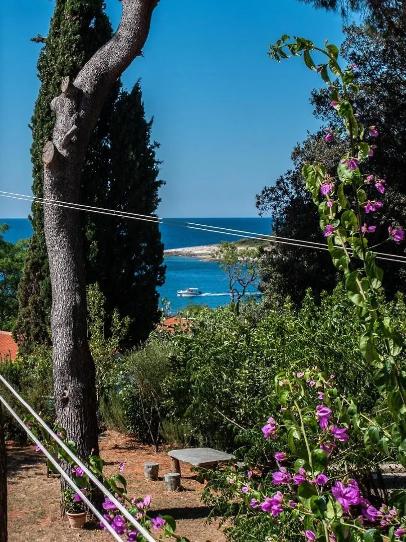 Guest house Villa Emilia Banjole